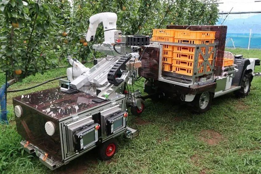 4 Speed Mandarin Picking Machines v02