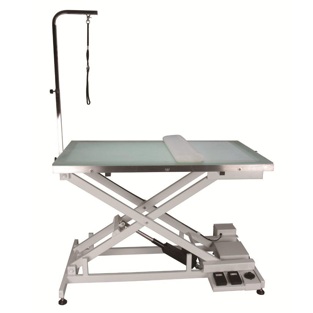 Aeolus - Veterinary Electric Lift Table with Light