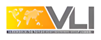 VLI Conveyor
