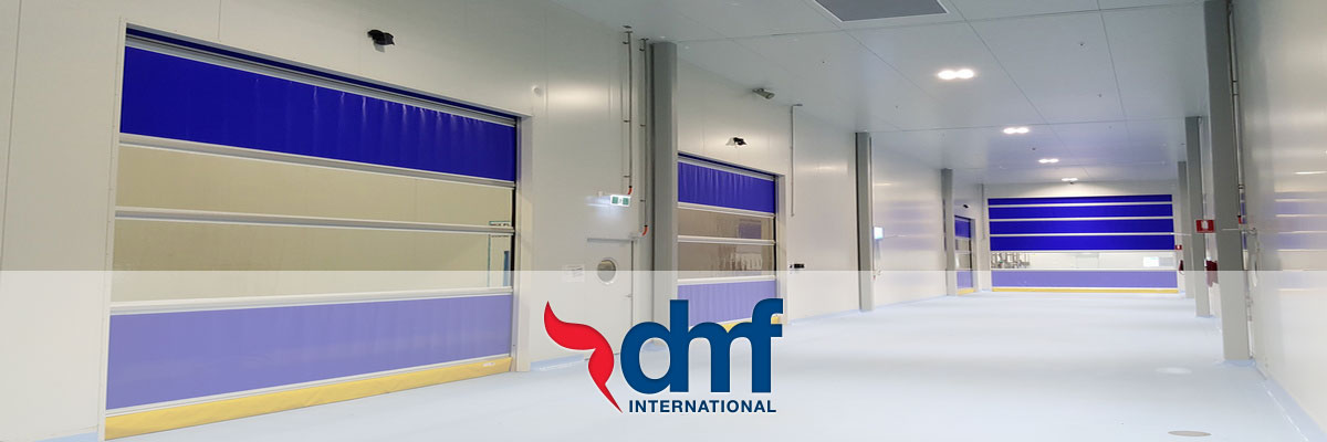 DMF International