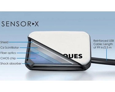 Intraoral Digital X-Ray Sensor | SensorX 