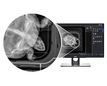Universal Veterinary Radiographic System