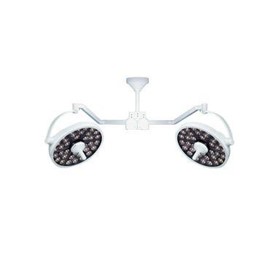 Dual Ceiling Mount