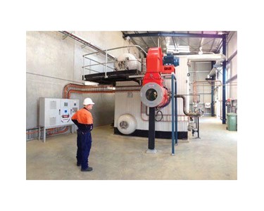 Tru-Steam - Gas Boilers