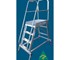 Allweld - Order Picker Ladder | Marine Grade Aluminium
