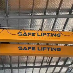 20t Bridge Gantry Crane