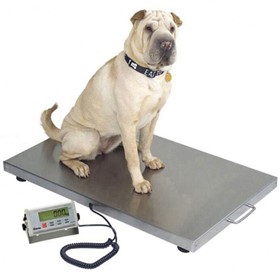 Veterinary Platform Scale