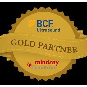 Going for gold: What BCF Ultrasound’s Gold Partner Status Means for You