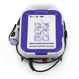 M-Vet Therapy Laser