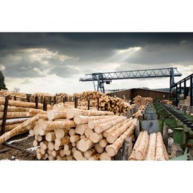 Engineered Plastic | Chanex Timber Industry Products