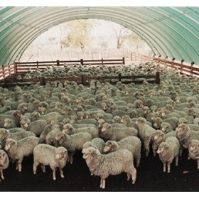 DomeShelter | Ag Shelter