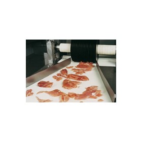 Meat & Poultry Processing | Conveyor Belts