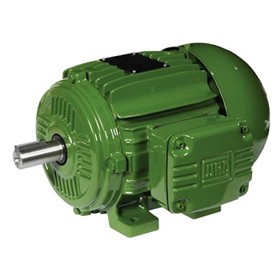 Electric Motor | IEC | Two Speed