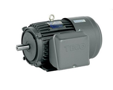 Teco - Single Phase Induction Motor | Squirrel Cage
