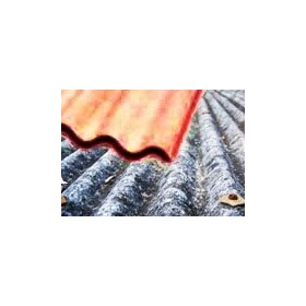Asbestos Removal Alternatives | Asbestos Roofing Encapsulation