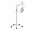 Youth Beauty - Dental Light | AC100-240V