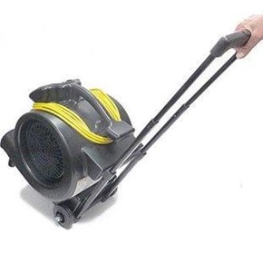 Commercial Air Mover Dryer 