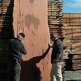 DAR Timber & Timber Slabs