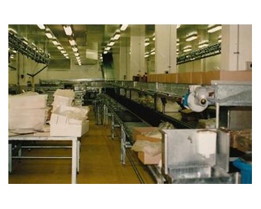 Abattoir Conveyor Systems | Adept