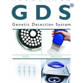Salmonella Detection | Assurance GDS