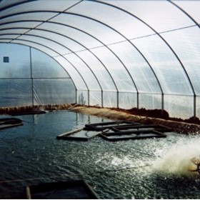 The Aquaculture | DomeShelter™