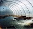 The Aquaculture | DomeShelter™
