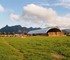 Feedlot Shelter | DomeShelter™