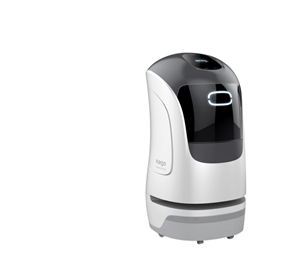 Autonomous Delivery Robot