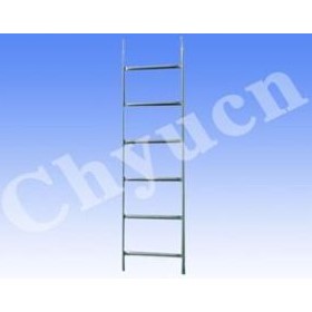 6' Access Ladder | LF6-L 