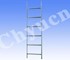 6' Access Ladder | LF6-L 