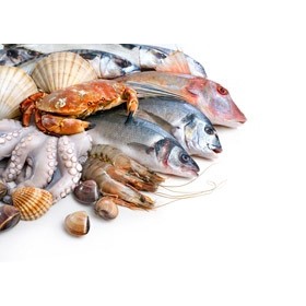 Seafood | Daily Fresh