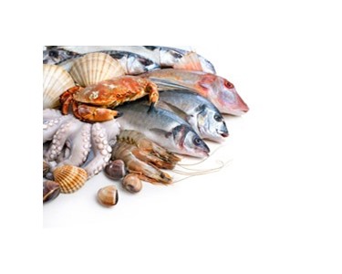 Seafood | Daily Fresh