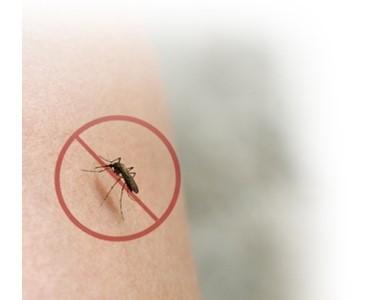 DIY Magnetic Flyscreen Kits | Maglab