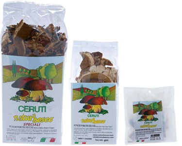 Porcini Mushrooms | Naturbosco by Ceruti