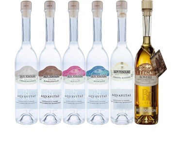 Liqueurs & Spirits | Bepi Tosolini