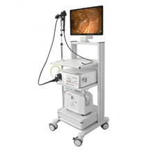 Endoscopic Camera System