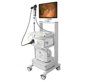 Endoscopic Camera System
