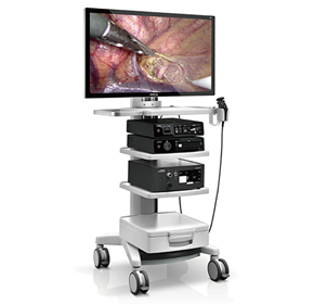Veterinary Video Endoscopy System