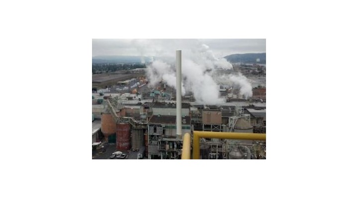 Figure 1. The omnidirectional antenna situated on the boiler room rooftop of a major pulp and paper manufacturer in the Pacific Northwest offers complete radio signal coverage for the entire site.