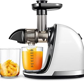 Commercial Cold Press & Slow Juicer