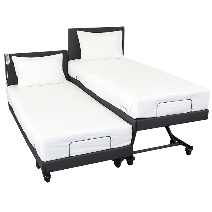 Companion Bed