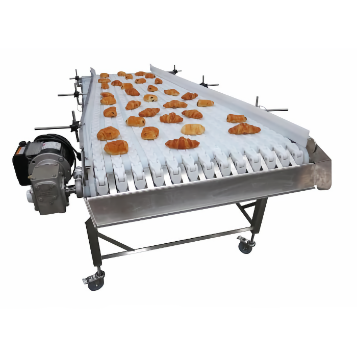 Food Conveyor System