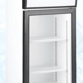 Display Freezer 50L
