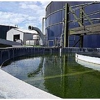 Monitoring Dairy Wastewater