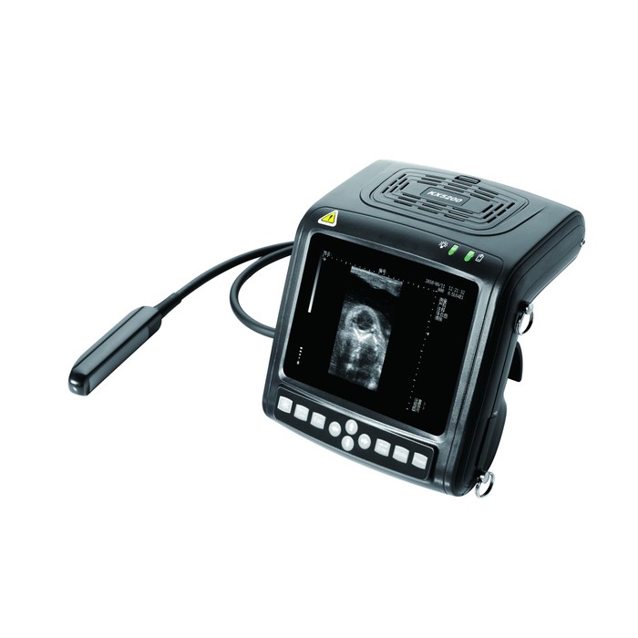 Cattle Pregnancy Ultrasound Machine