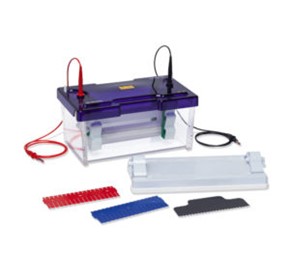 Electrophoresis System