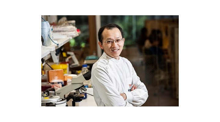 Mushroom breakthrough: Dr Patrick Ling from Queensland University of Technology (Image: QUT)
