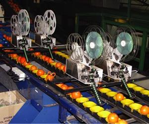 Dix's automatic labelling machines are capable of labelling a wide variety of fruit and vegetables.