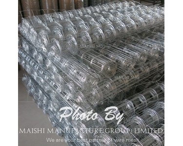 Welded Wire Mesh with Good Quality