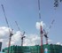 Zoomlion - L160 Tower Crane